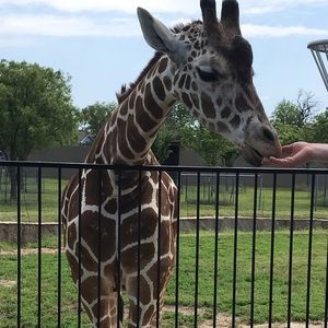 Meet your Posher, Mariah